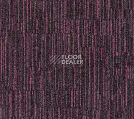 Ковровая плитка Milliken LayLines lln 179-178 Blackcurrant фото 1 | FLOORDEALER